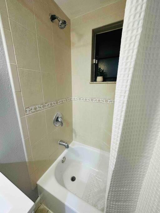 Coral Gables Miami Studio Near Airport And Beaches Bagian luar foto